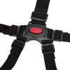 5 Point Harness Safe Belt Seat