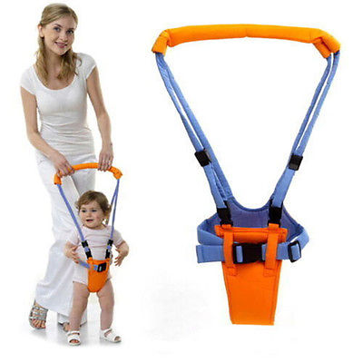 Harness Walk Learning Assistant