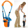 Harness Walk Learning Assistant