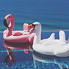 Flamingo Swimming Float Baby Seat