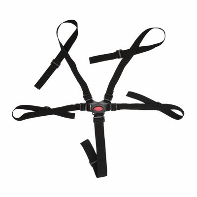 5 Point Harness Safe Belt Seat