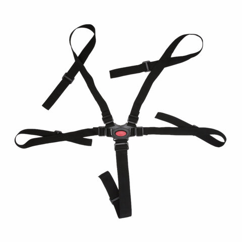 5 Point Harness Safe Belt Seat
