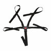 5 Point Harness Safe Belt Seat